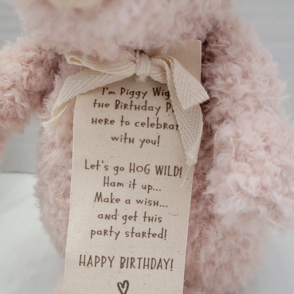 Piggy Wigg Wiggy Celebrate Happy Birthday DEMDACO Plush Animal Pig Hat Gift Tag - Picture 4 of 12
